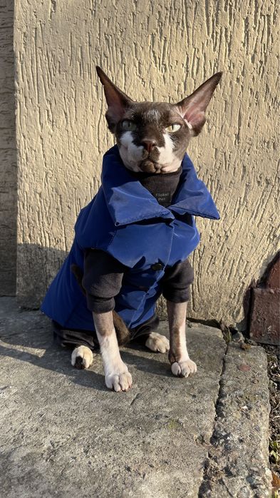 Теплий Одяг для котів сфінкс девон рекс одежда для котов