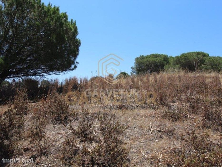 Rustic land in an agricultural area, Albufeira, Algarve.