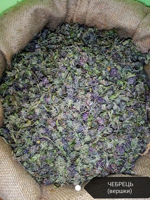 Фіто- Чай Ферментований Іванчай, ожина, чебрець...