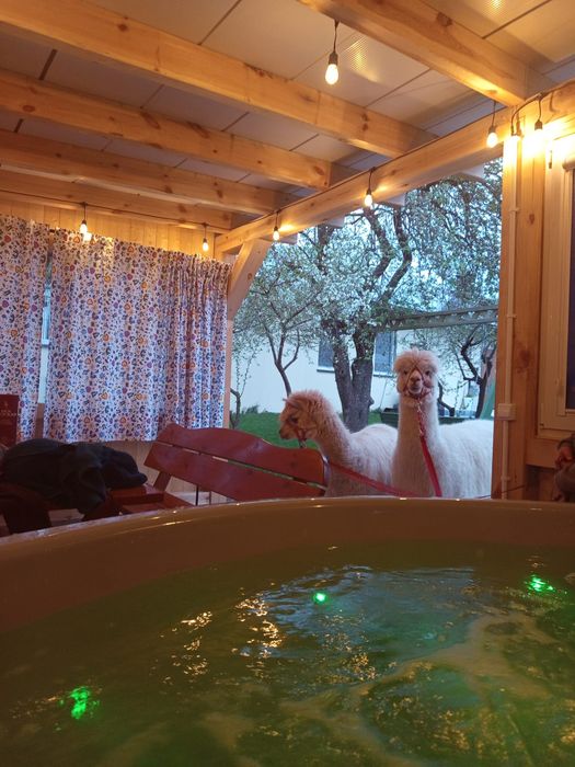 Domek na wynajem na Kaszubach z bilardem i jacuzzy- agroturystyka