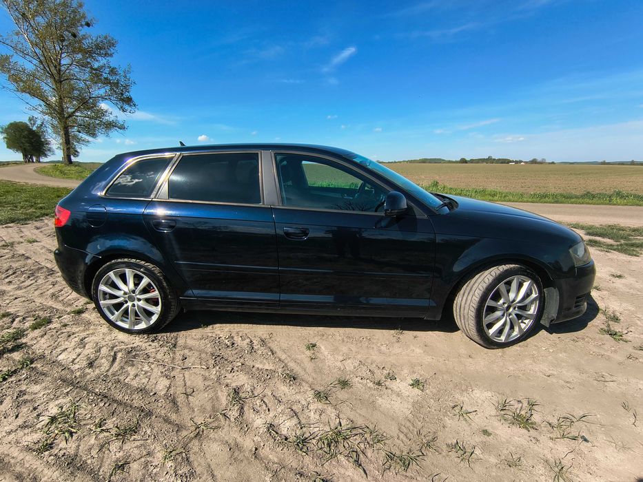 Audi A3 8P 2.0TDI