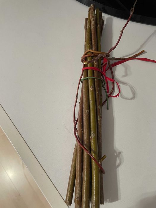 Gałązki wierzby  dla gryzoni - świeże  przyrosty 130 g