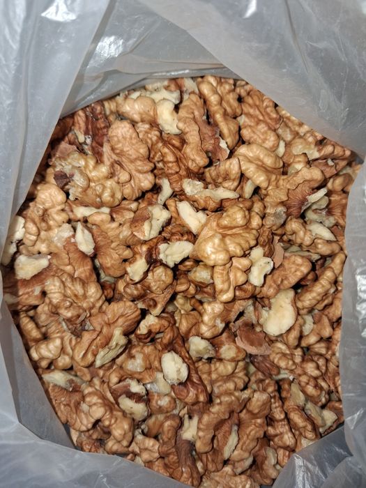 Грецкий орех домашний. 2025.