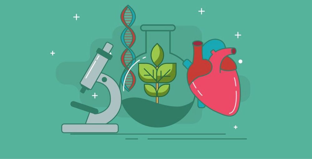 Korepetycje z biologii