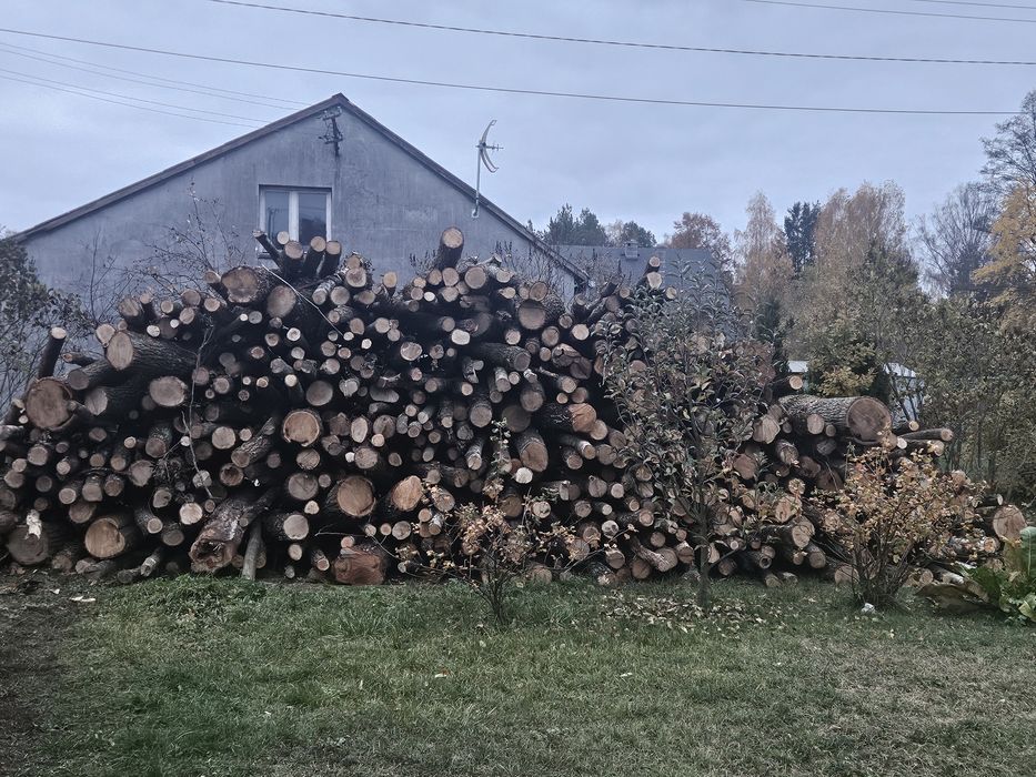 Drewno opałowe kominkowe sezonowane dąb dębina liściaste pocięte