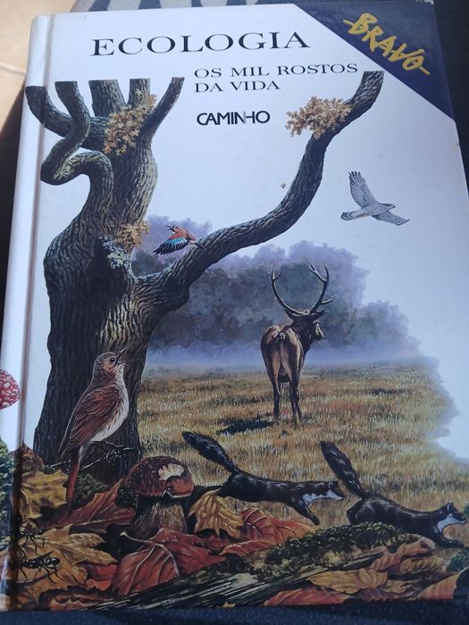 Vários livros infantis e juvenis