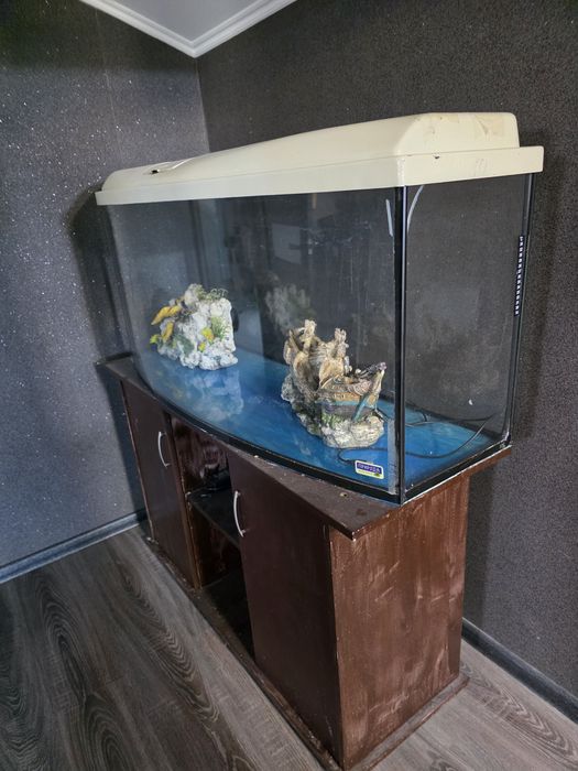 акваріум 250л.пролам