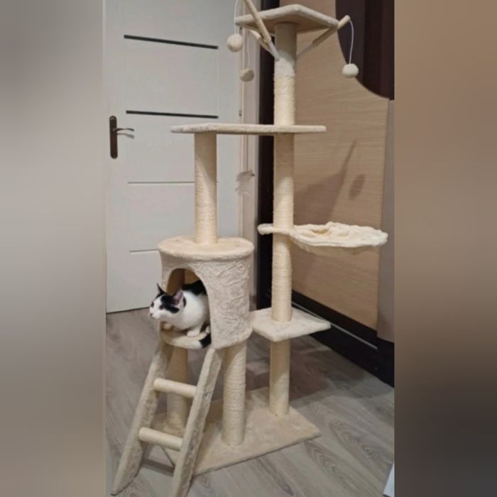Drapak dla kota beżowy z drabinką NOWY