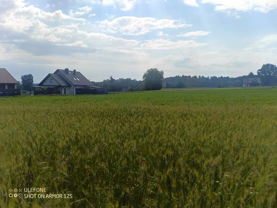 Ustronna 5 000 m², Marklowice Górne - Widok 5