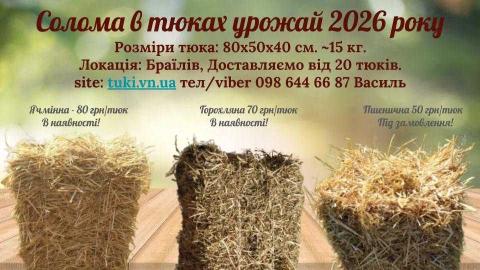 Солома ячмінна, горохляна в тюках  тюки збору урожаю 2026 р в НАЯВНОСТІ
