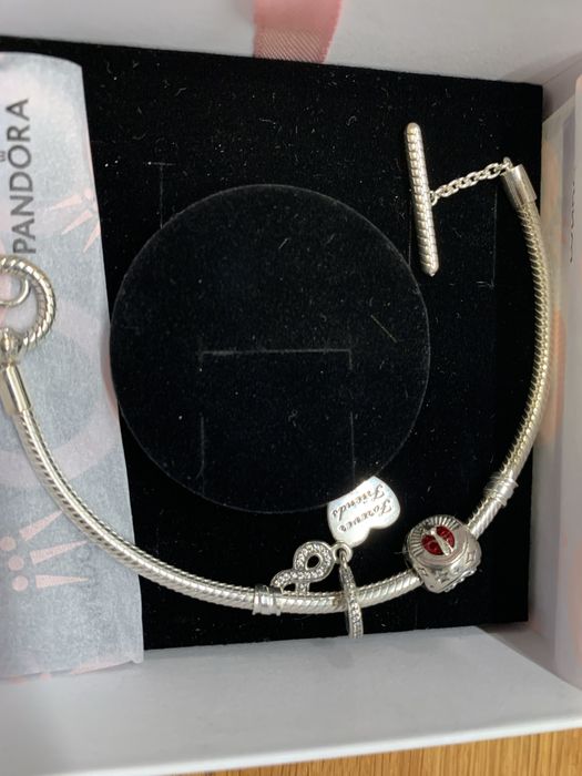 Srebrna bransoletka na rękę Pandora Moments z dwoma Charmsami Nowa