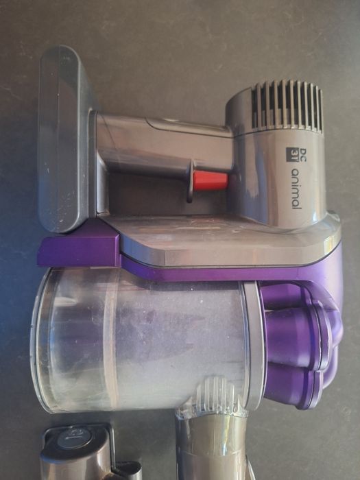 Aspirador portatil Dyson DC31 Animal