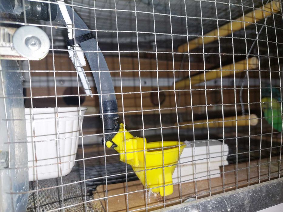 Gaiola para pássaros