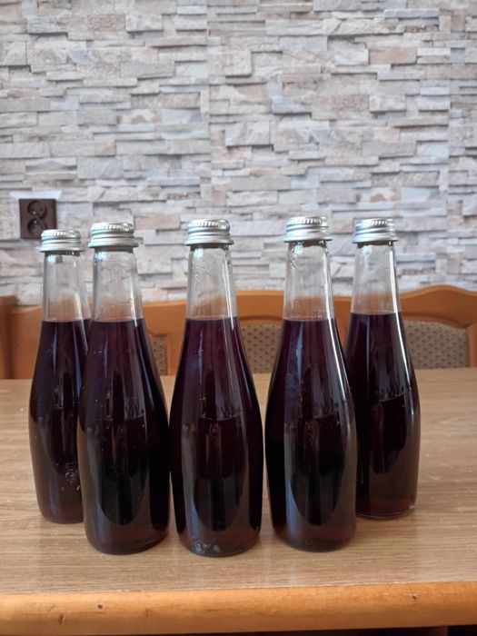 Syrop z owoców czarnego bzu
