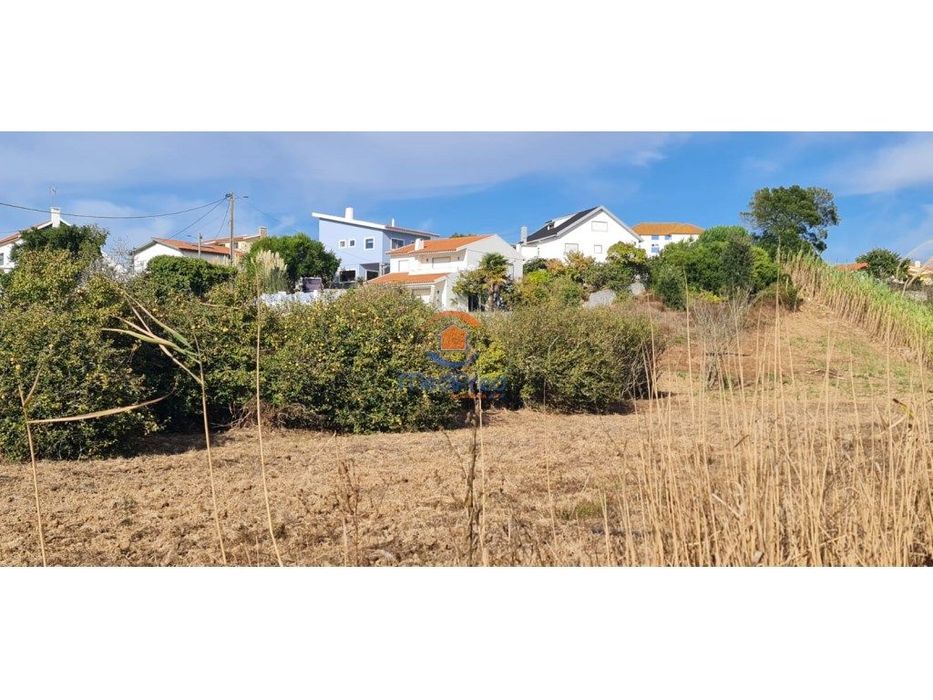 Terreno agrícola 6.000 m2 | A dos Cunhados, Torres Vedras
