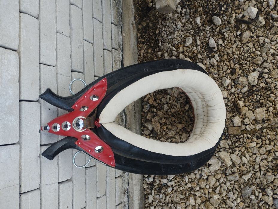 Chomąto homonto chomonto 32/63