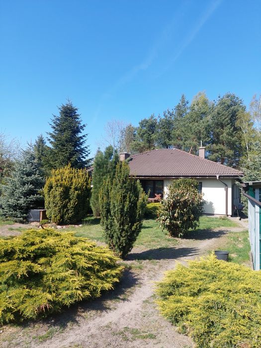 Sprzedam dom w Głogowie - Widok 2