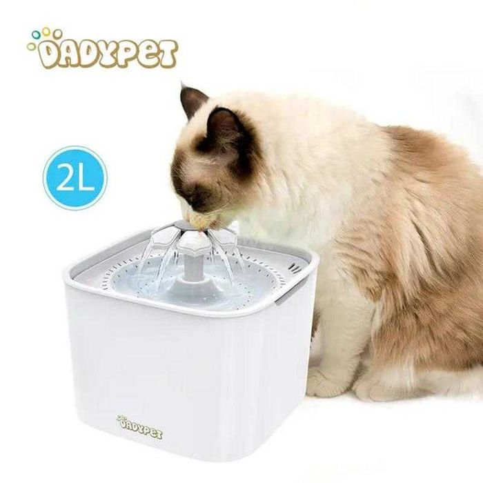 Dadypet фонтан для домашних животных с фильтром 2 л / 2 Вт кошек собак