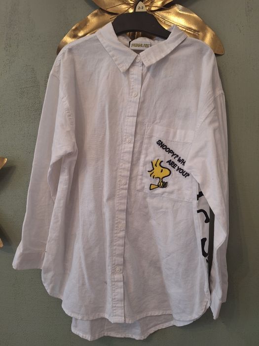 Nowa koszula dziecieca 122 ZARA