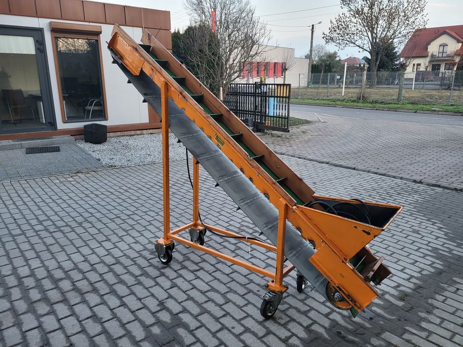 Taśmociąg do warzyw