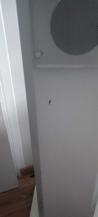 Kino domowe T+A pulsar tas 2000e wysyłka na palecie
