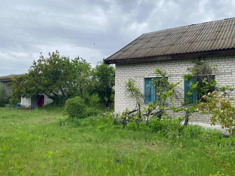 Продаж будинку в Брусилові (Покришів)