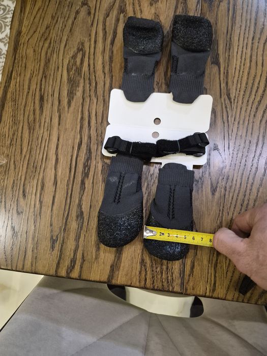 Взуття для собак