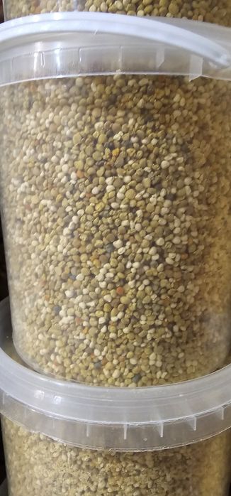 Пилок бджолиний весняний