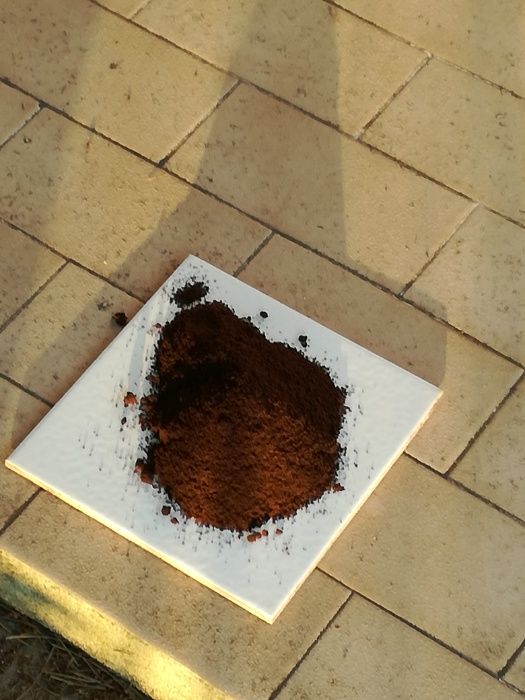 Borras de Café bem Secas - Estrume biológico - Preço do KG