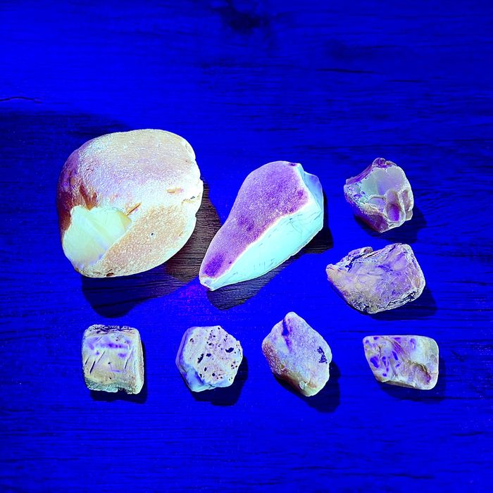 Zestaw PRO - latarka UV na bursztyn