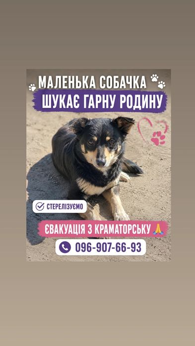 Терміново потрібна родина