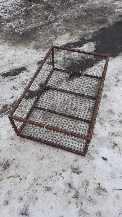 Клітки ящики для транспортування птиці курей