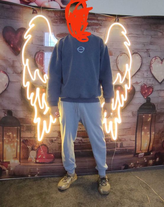 Neon, skrzydła anioła , ledon,