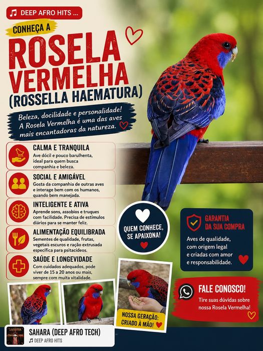 Rosela penante criada a mão