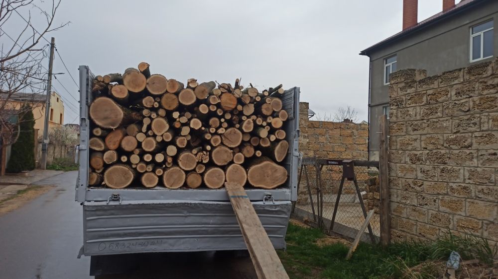 дрова микс колотых 4500