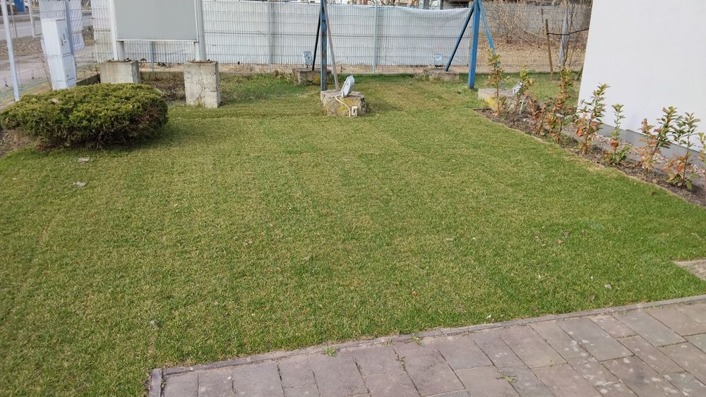 Trawa z Rolki Premium ! Certyfikat ! Producent ! Nawozy ! Kosiarki !