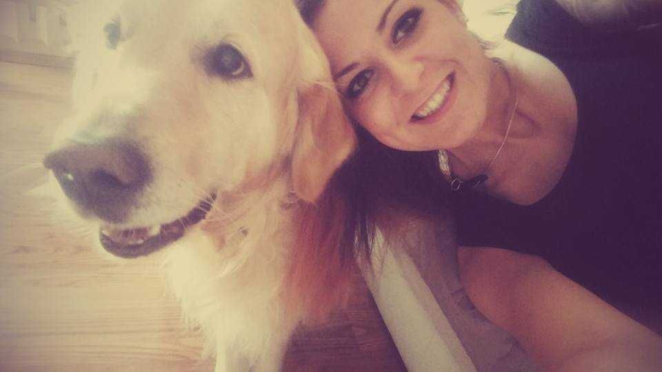 Opieka nad psem, noclegi dla psów