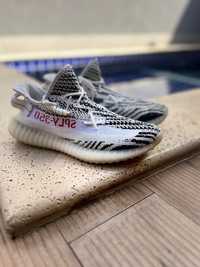 Yeezy zebra hotsell olx