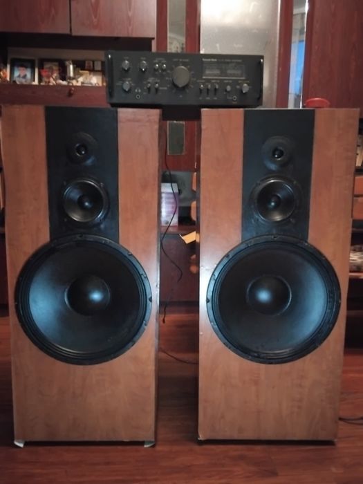 Большие  самодельные колонки с динамиками из Германии., к