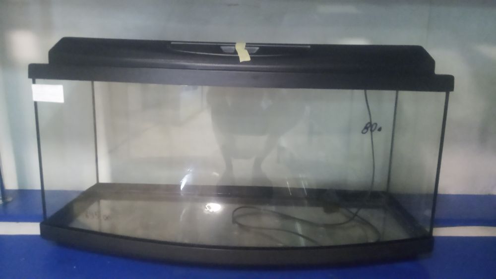 Аквариумы новые 22л,34л, 52л, 54л, 65 аквариумные рыбки