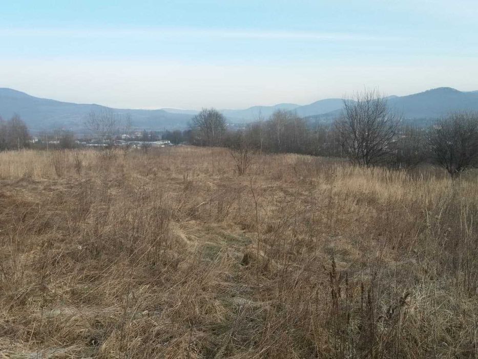 Продається земля в урочище Голиця - Вид 4