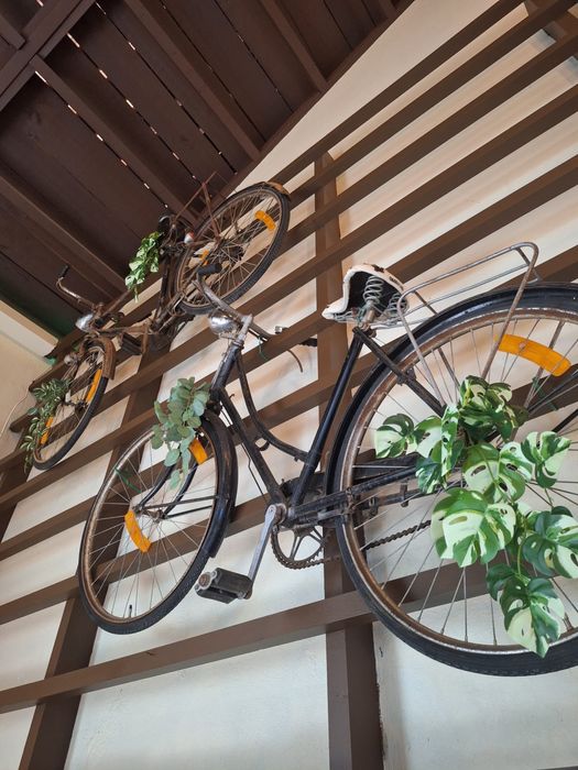 Trespasse Taberna dos 5