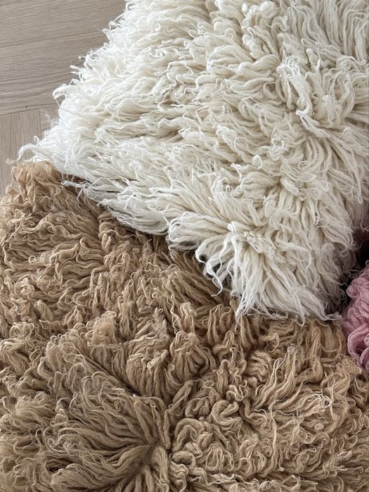 Flokatii do sesji fotograficznej