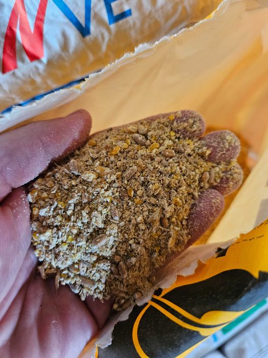 Karma Pasza kury nioski Sano