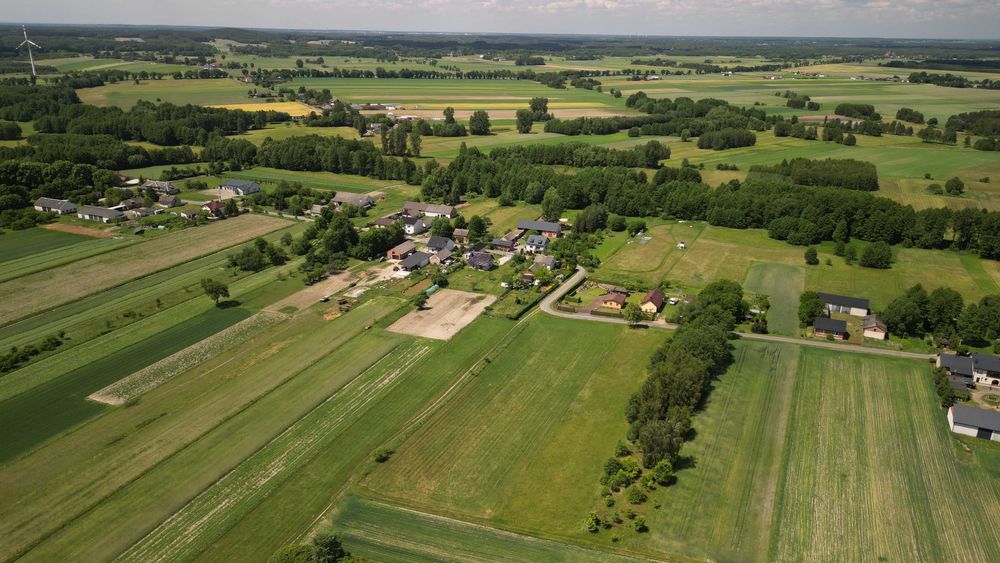 Siedlisko 0,81 ha Blizin gm. Wola Krzysztoporska dom z polem uprawnym