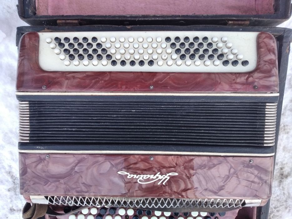 Аккордеон Украина.