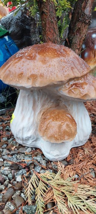 Piękne grzyby do ogrodu 24x26 cm