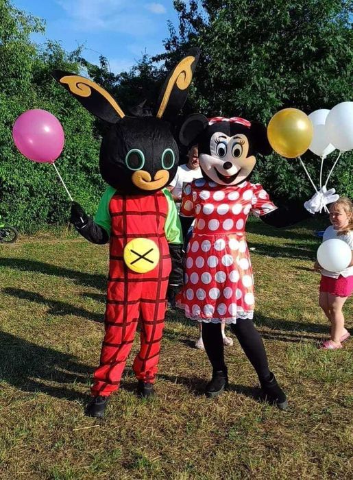 Namioty imprezowe, dmuchane zjeżdżalnie, maskotki, dekoracje - wynajem