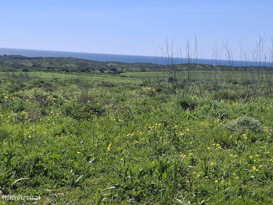 Terrenos Rústicos confinantes nas Hortas de Tabual — Vila Do Bispo E Raposeira, Faro