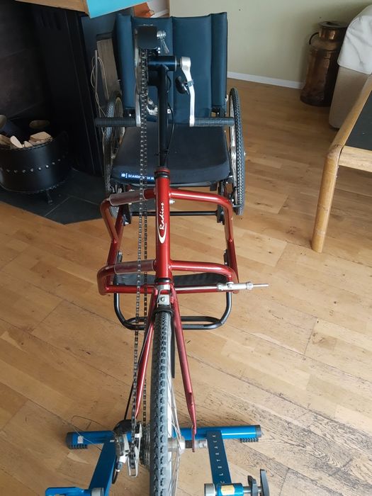 Inwalidzki trójkołowiec rower